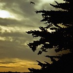 Les derniers ajouts